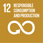 Wpływ środowiskowy - Odpowiedzialna konsumpcja i produkcja